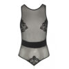 Vienna Body Front