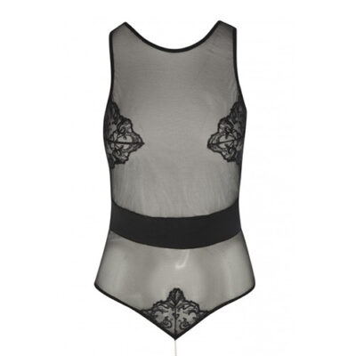 Vienna Body