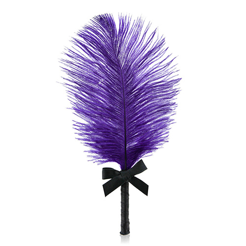 Feather Tickler
