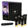 Shunga Naughty Geisha Kit