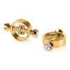 Magnetic Nipple Clamps - Gold