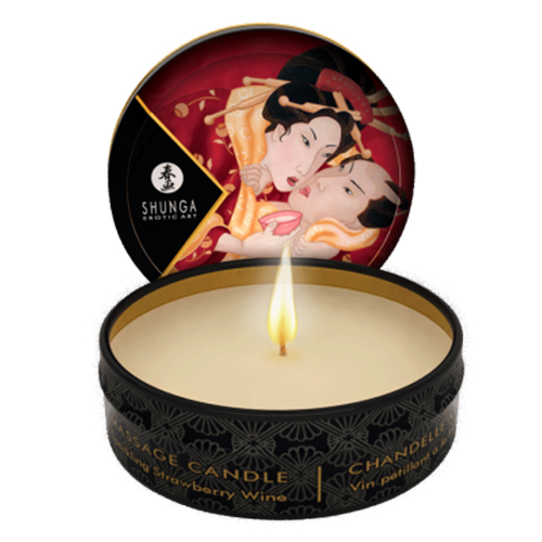Shunga Geisha's Secret Collection